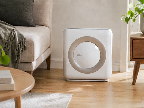 The Best Air Purifiers