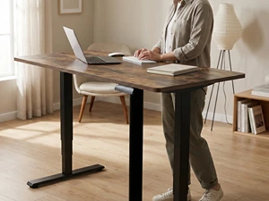 FLEXISPOT E6 Standing Desk