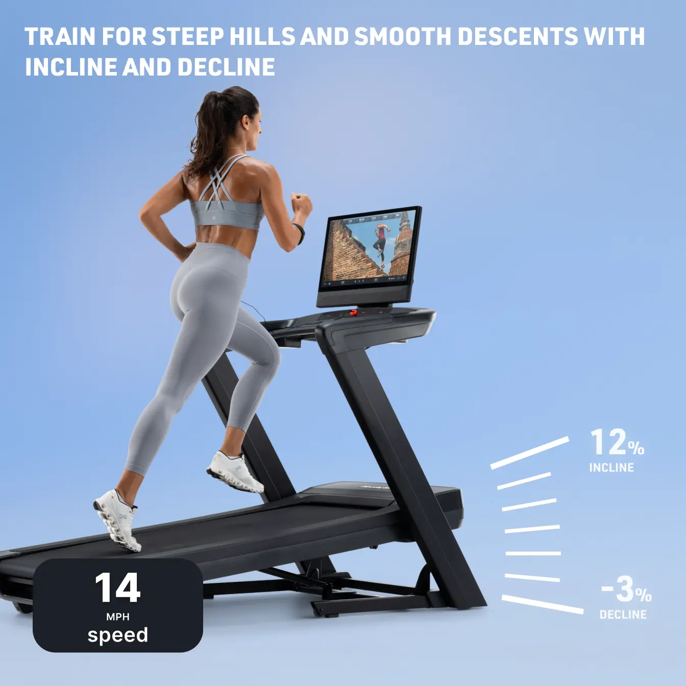 NordicTrack 2450 Treadmill
